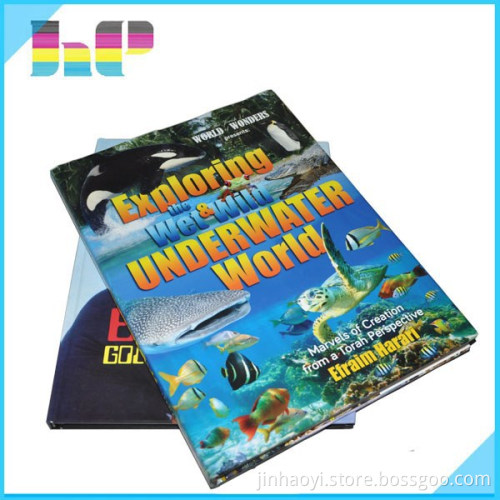 Take Away Wholesale Album Book Printing With Beautiful Design